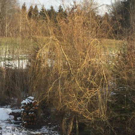 Privatzimmer Vermietung Helmut Burgmann Kirchberg bei Mattighofen Exterior foto